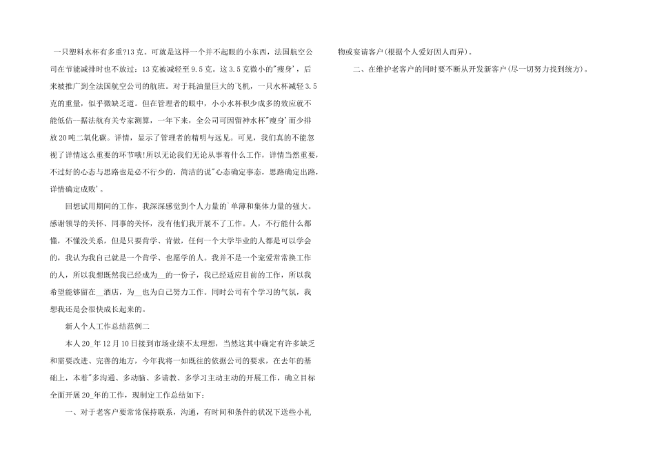 新人个人工作总结范例_第2页