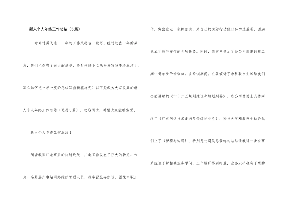 新人个人年终工作总结（5篇）_第1页