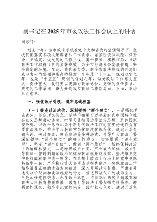 副书记在2025年市委政法工作会议上的讲话