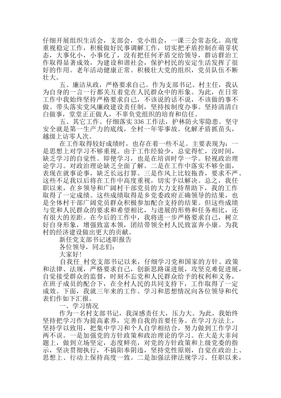 新任党支部书记述职报告_第3页