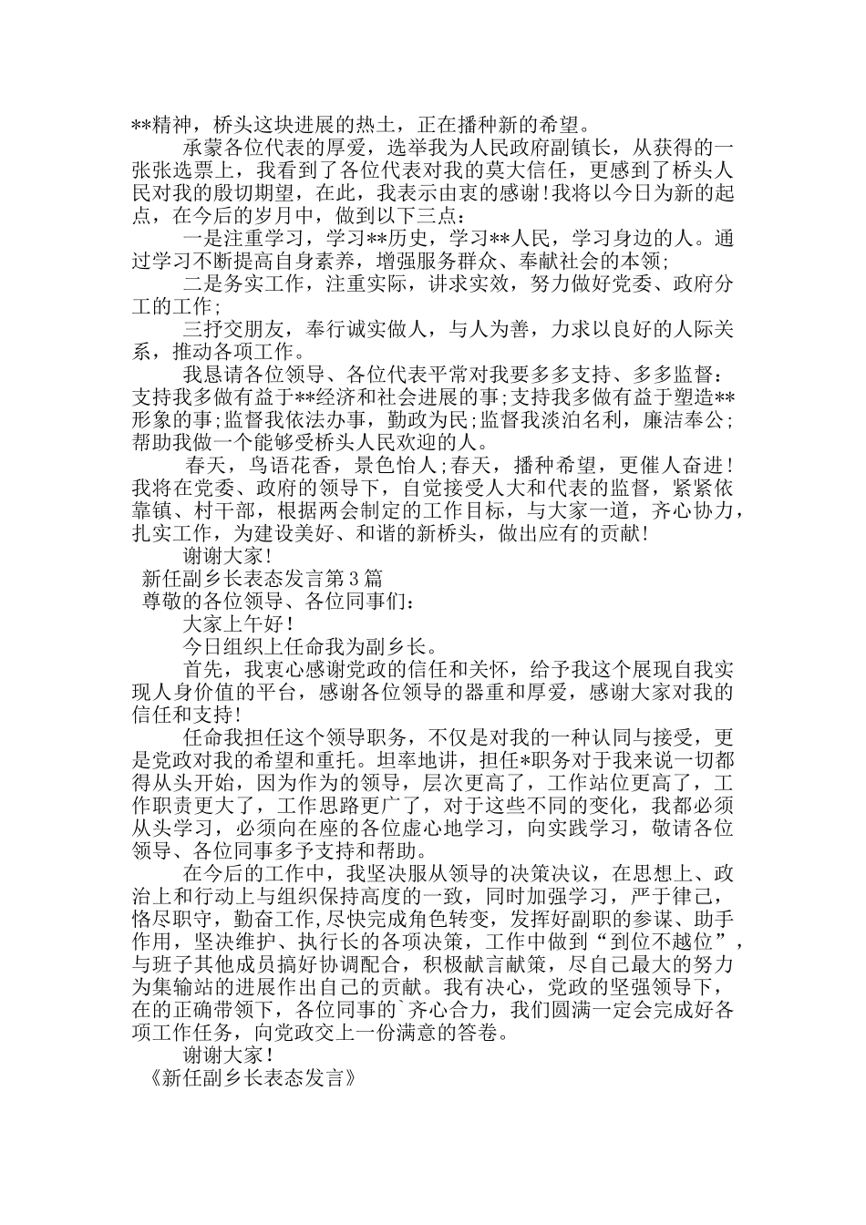 新任副乡长表态发言_第2页