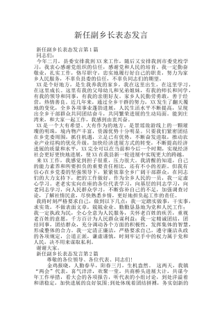 新任副乡长表态发言