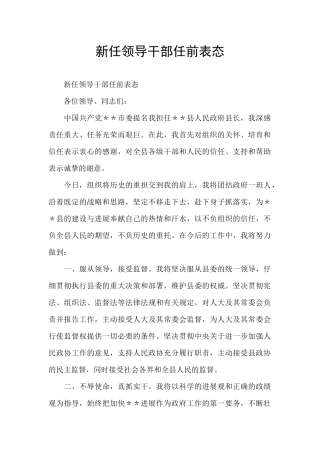 新任领导干部任前表态
