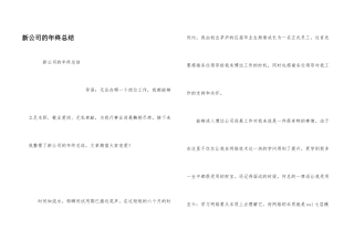 新公司的年终总结