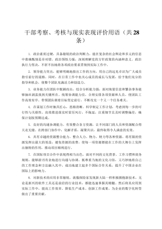 干部考察、考核与现实表现评价用语（共28条）