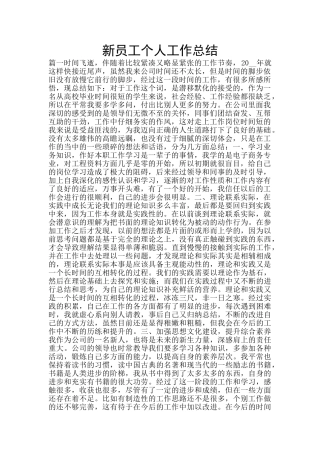 新员工个人工作总结