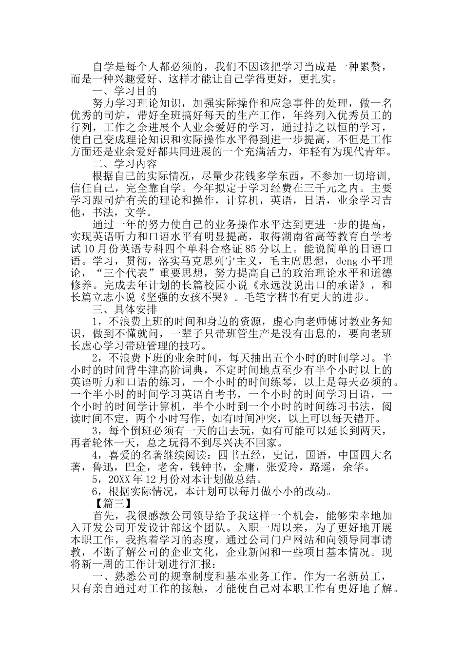 新员工个人工作计划报告范文_第2页