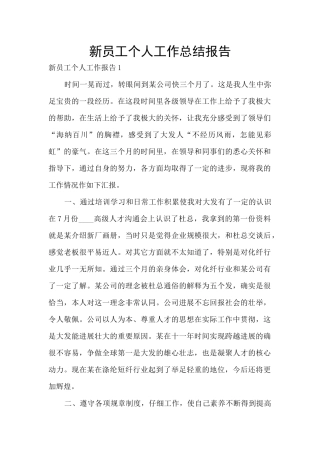 新员工个人工作总结报告