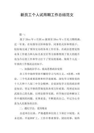 新员工个人试用期工作总结范文