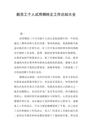 新员工个人试用期转正工作总结大全