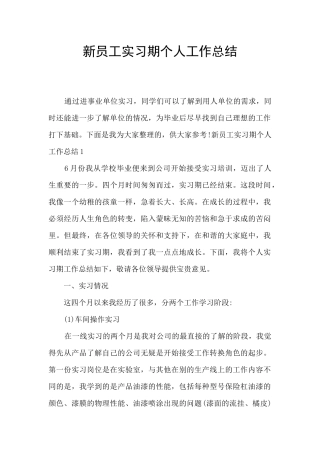 新员工实习期个人工作总结
