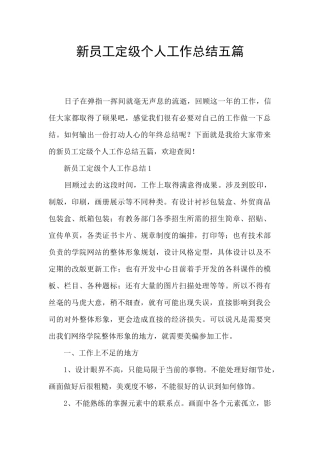 新员工定级个人工作总结五篇