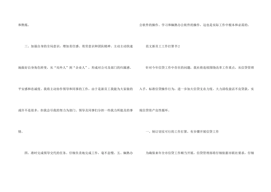 新员工工作计划书_第2页