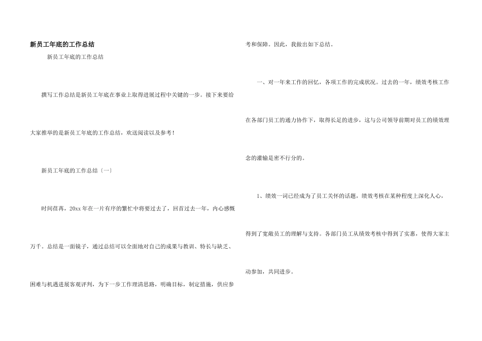 新员工年底的工作总结_第1页