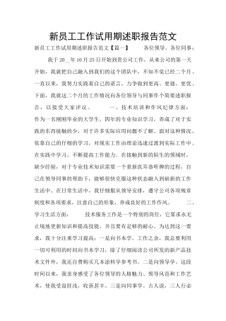 新员工工作试用期述职报告范文