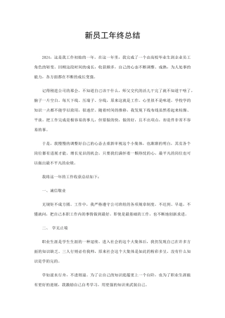 新员工年终总结