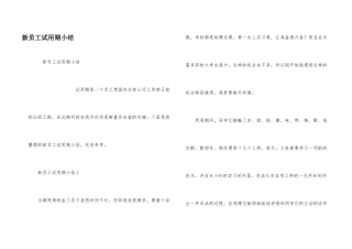 新员工试用期小结
