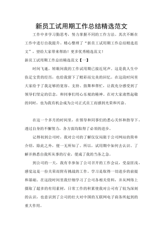 新员工试用期工作总结精选范文