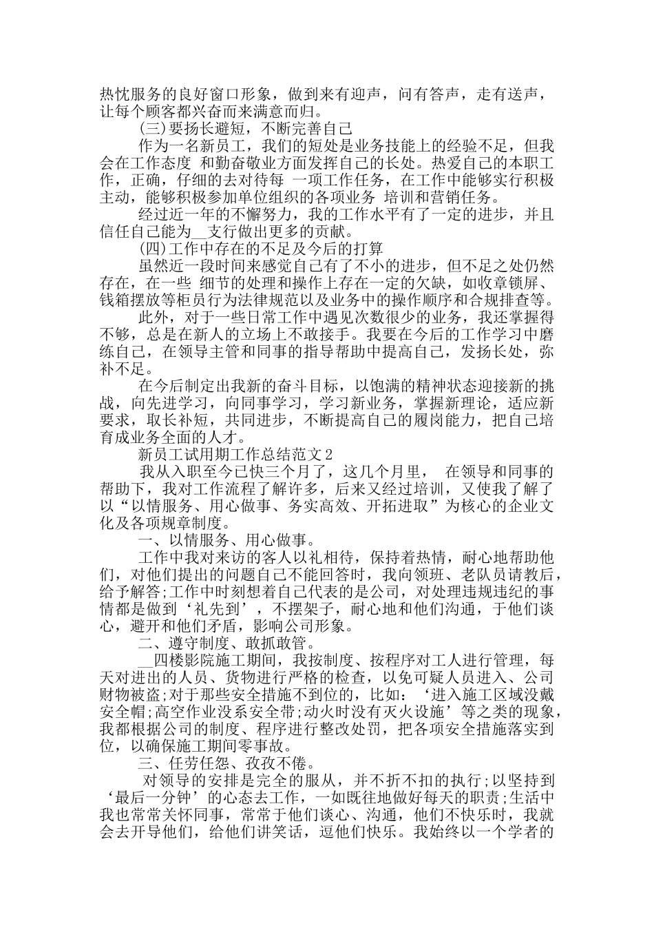 新员工试用期工作总结范文_第2页