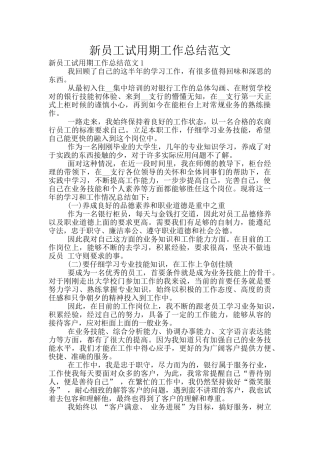 新员工试用期工作总结范文
