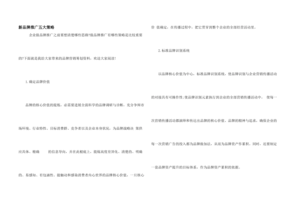 新品牌推广五大策略_第1页