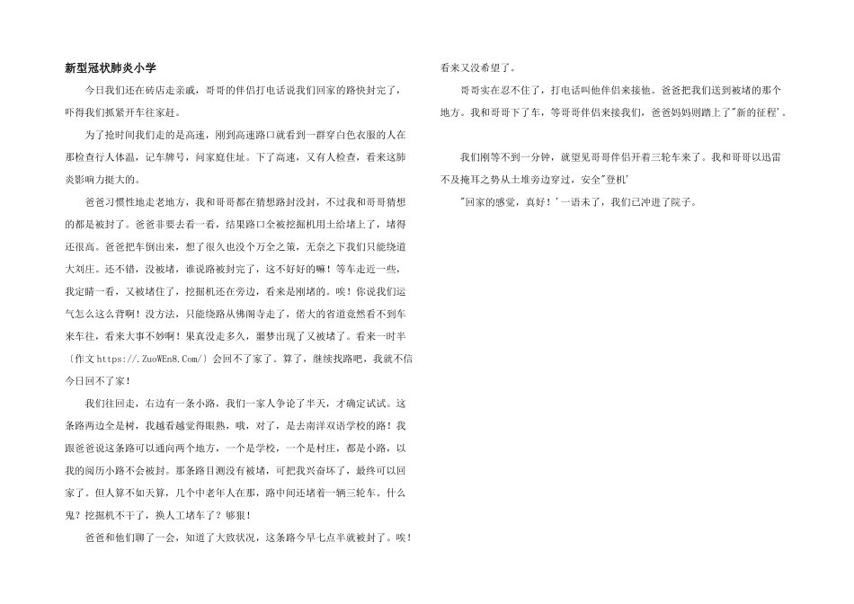 新型冠状肺炎小学_第1页
