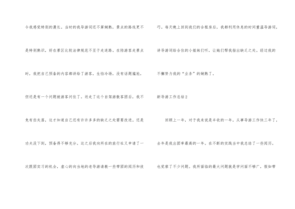 新导游工作总结_第2页