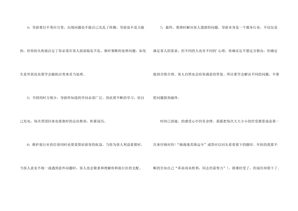 新导游年终总结_第2页