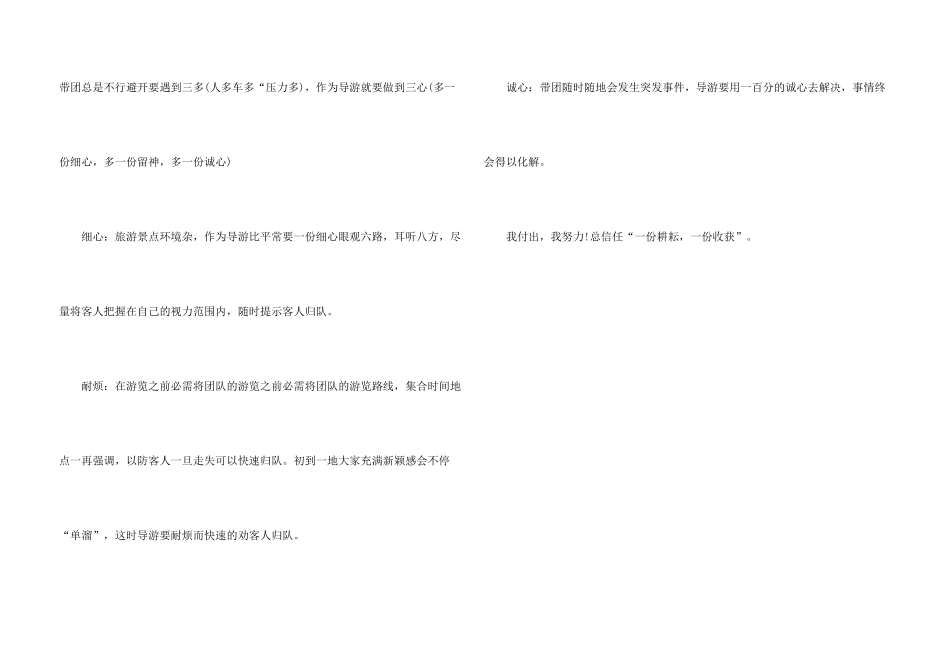 新导游年终总结_第3页