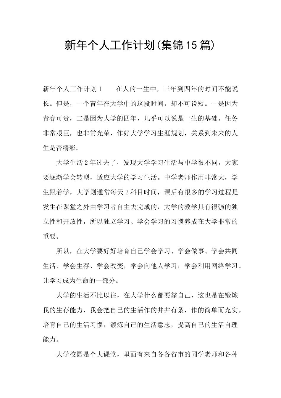 新年个人工作计划_第1页