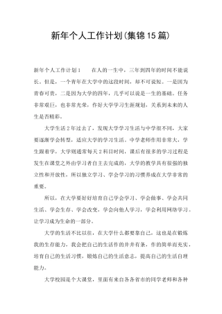 新年个人工作计划