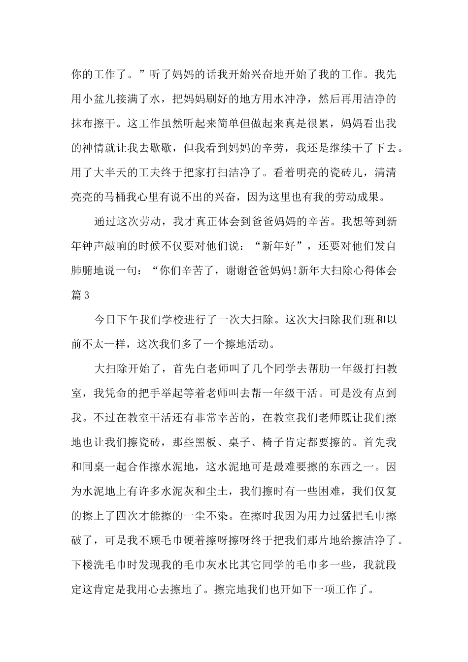 新年大扫除心得体会10篇_第3页