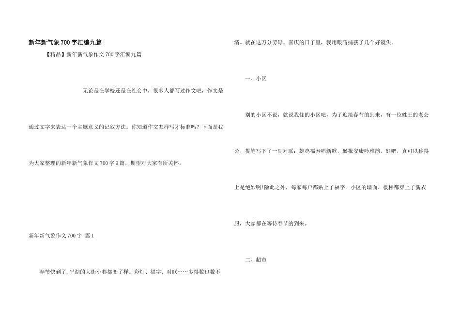 新年新气象700字汇编九篇_第1页