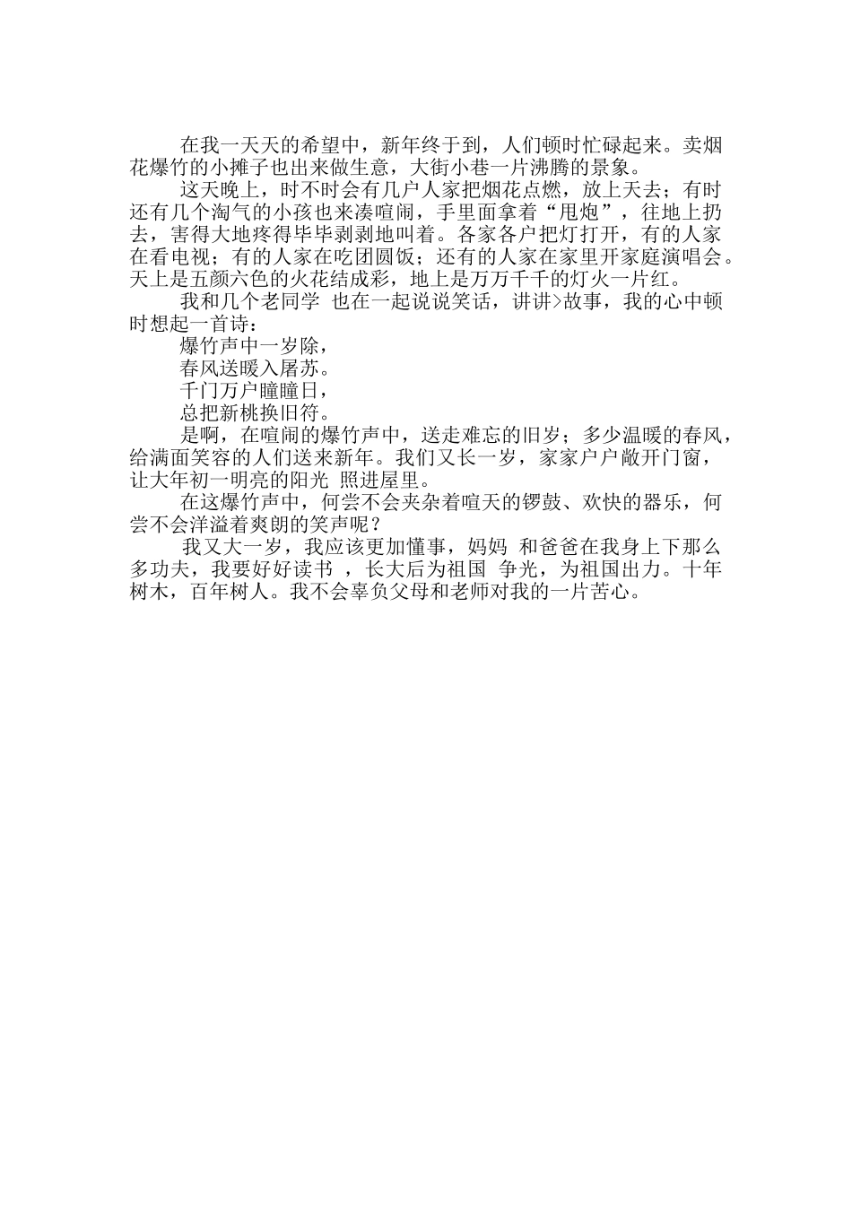 新年日记四篇_第3页