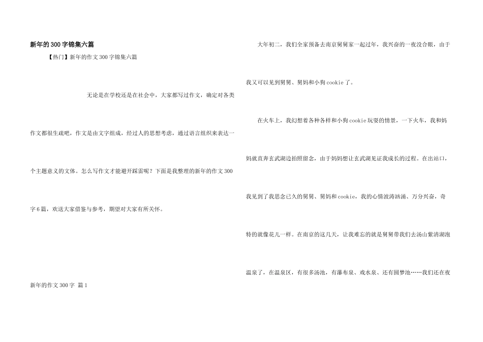 新年的300字锦集六篇_第1页