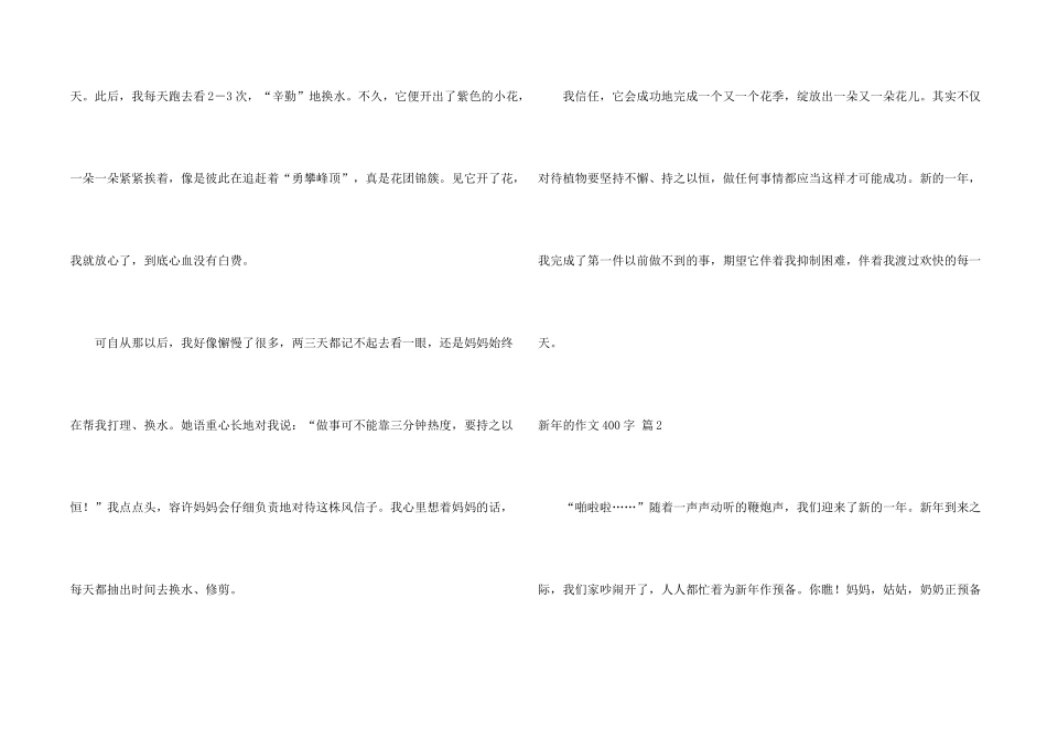 新年的400字锦集六篇_第2页