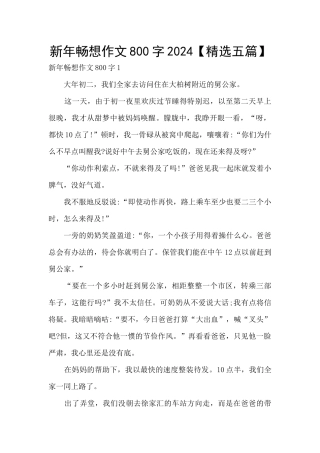 新年畅想作文800字2024