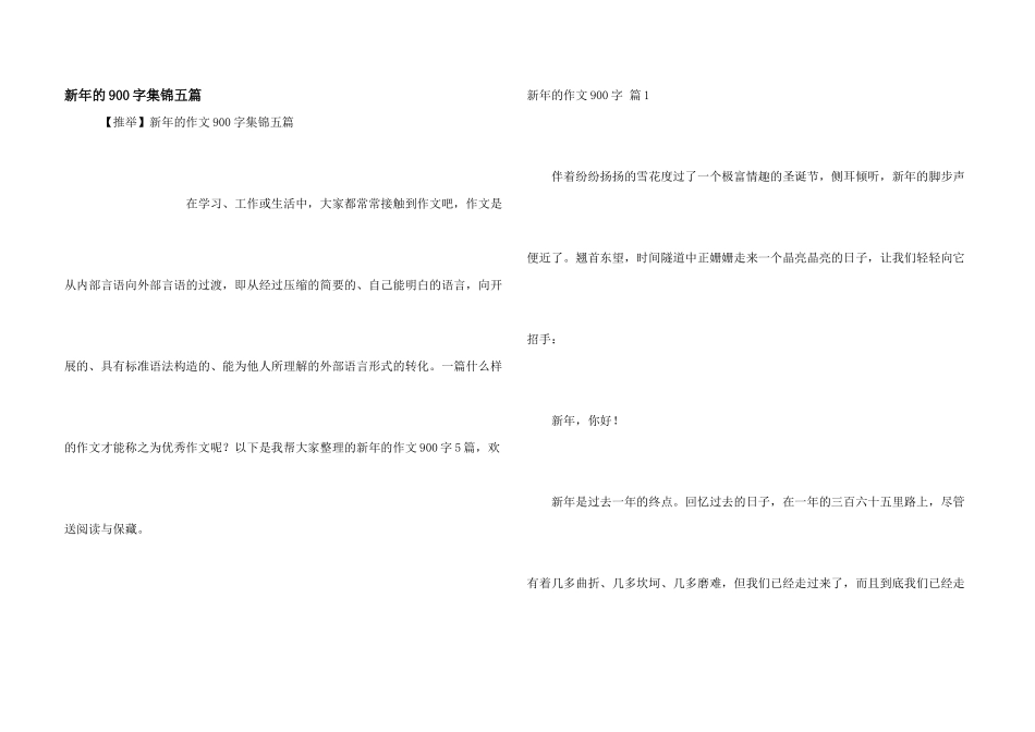 新年的900字集锦五篇_第1页