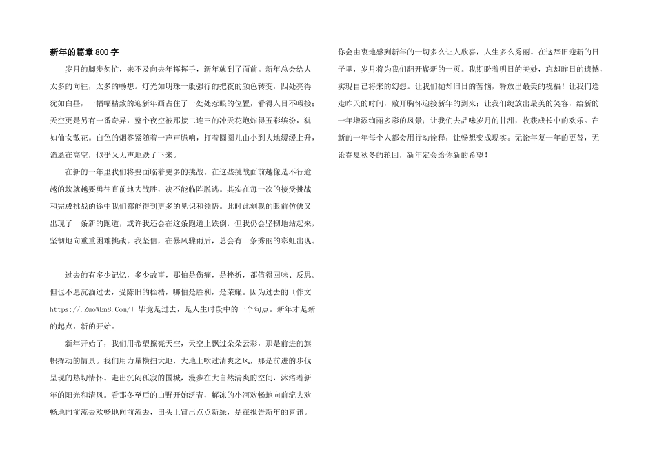 新年的篇章800字_第1页
