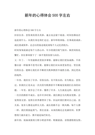 新年的心得体会500字左右