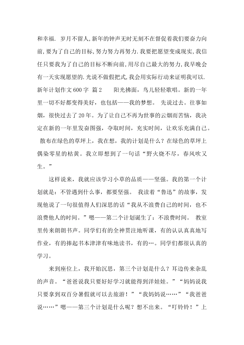新年计划作文600字汇编4篇_第2页