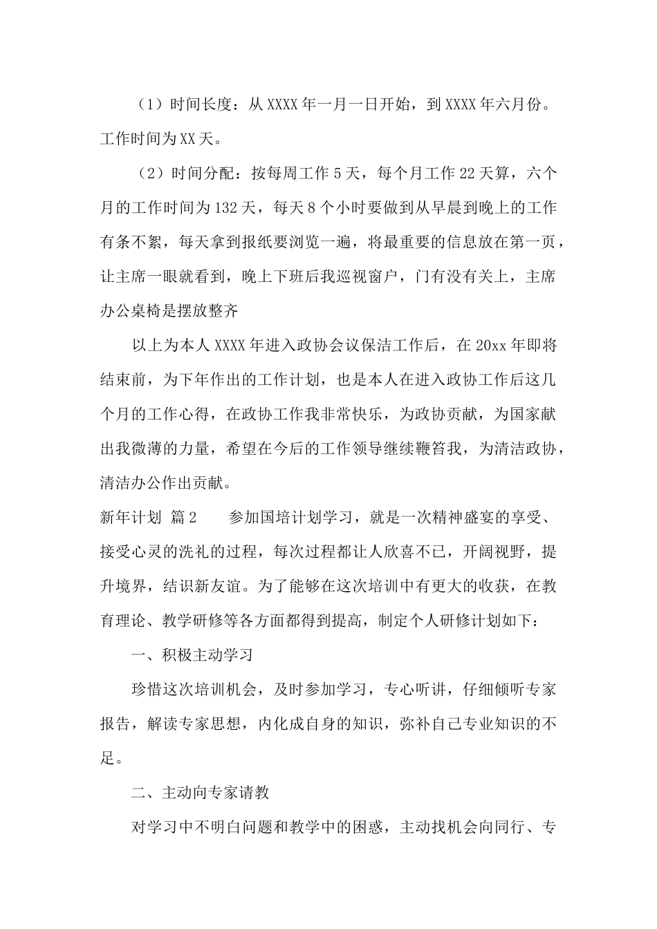 新年计划锦集8篇_第2页