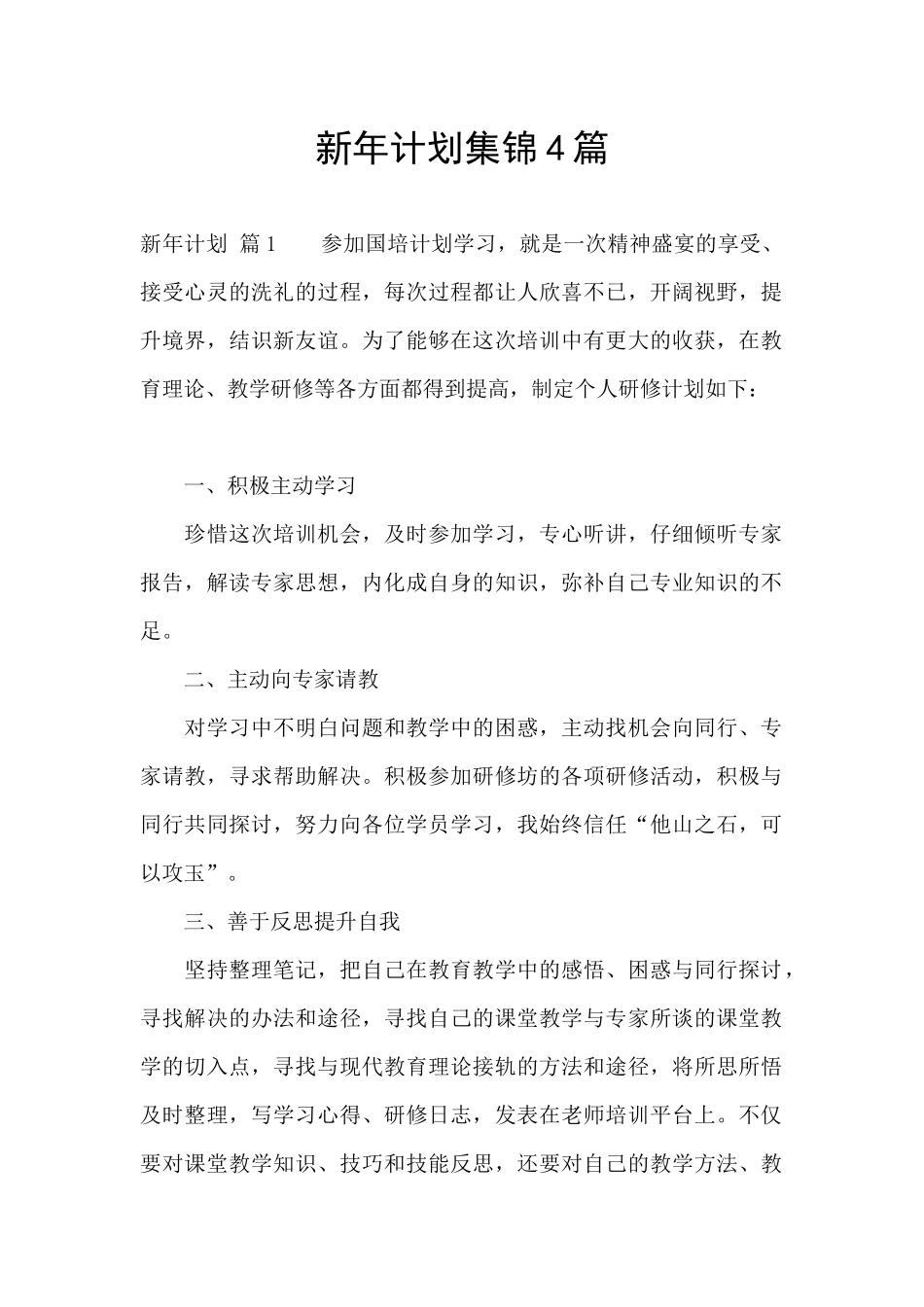 新年计划集锦4篇_第1页