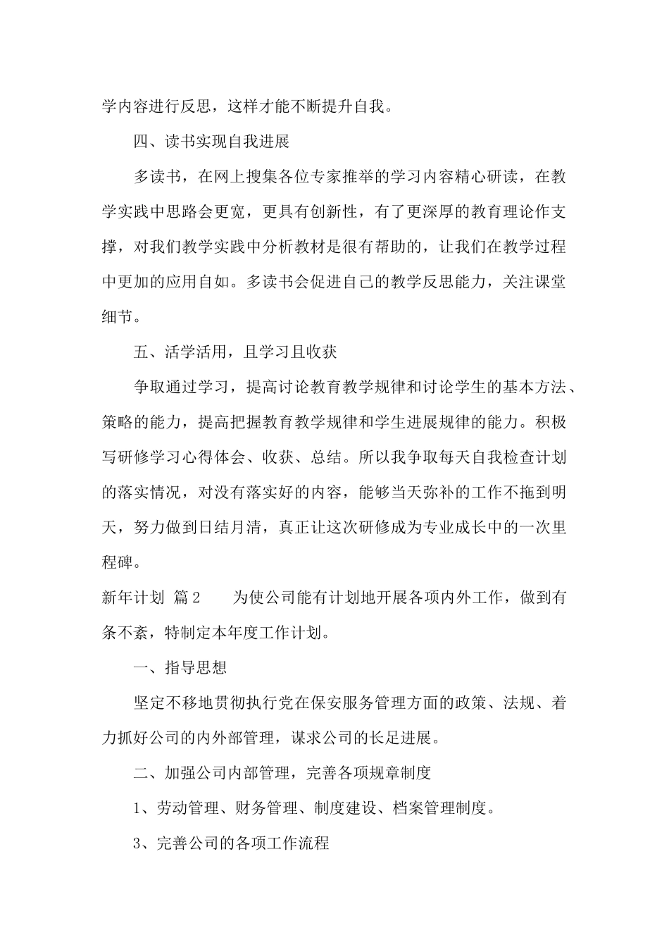 新年计划集锦4篇_第2页