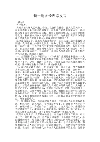 新当选乡长表态发言