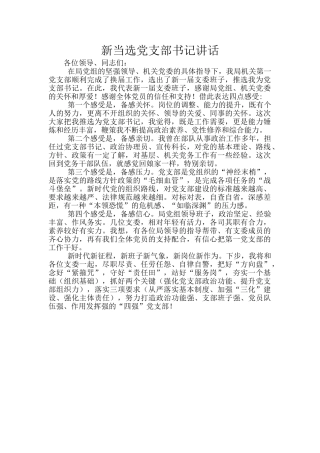 新当选党支部书记讲话