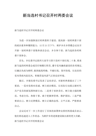 新当选村书记召开村两委会议