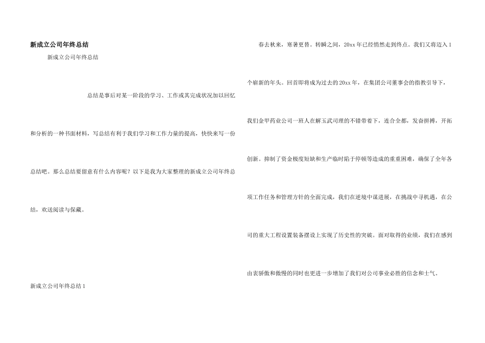 新成立公司年终总结_第1页