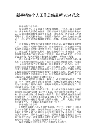 新手销售个人工作总结最新2024范文
