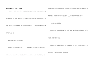 新手销售员个人工作计划3篇